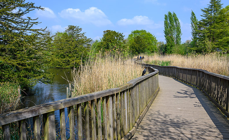 Dulwich Park