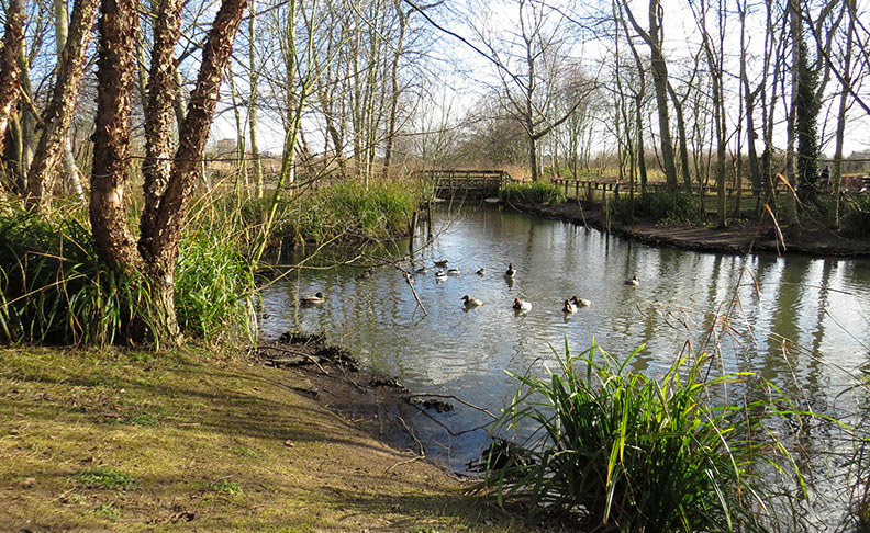 Darlands Nature Reserve