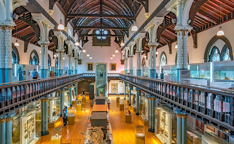 The Hunterian Museum