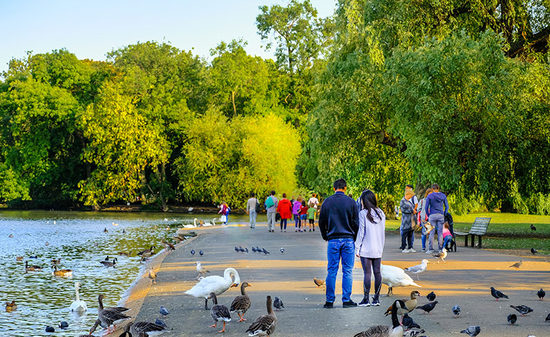 Regent's Park