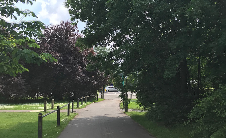 Tooting Common