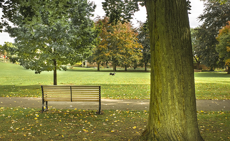 Gunnersbury Park