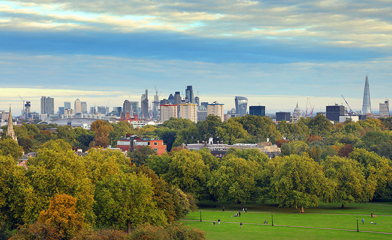 Primrose Hill