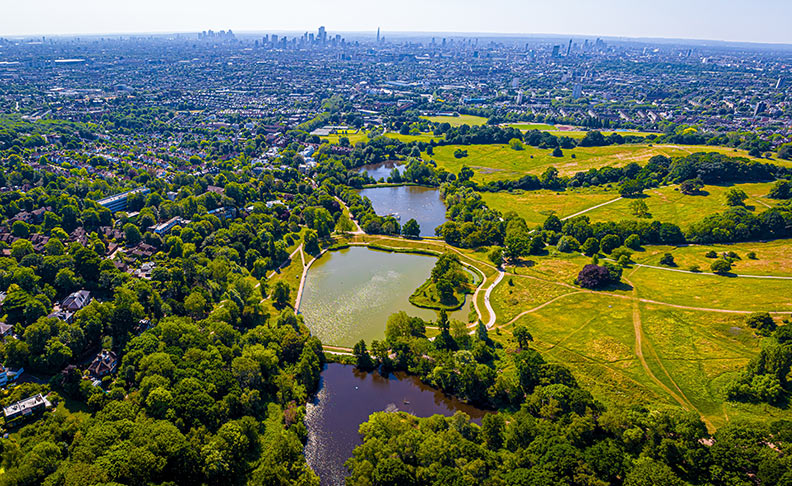 Hampstead Heath
