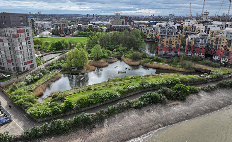 Greenwich Peninsula Ecology Park