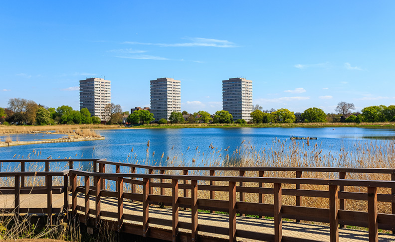 Woodberry Wetlands