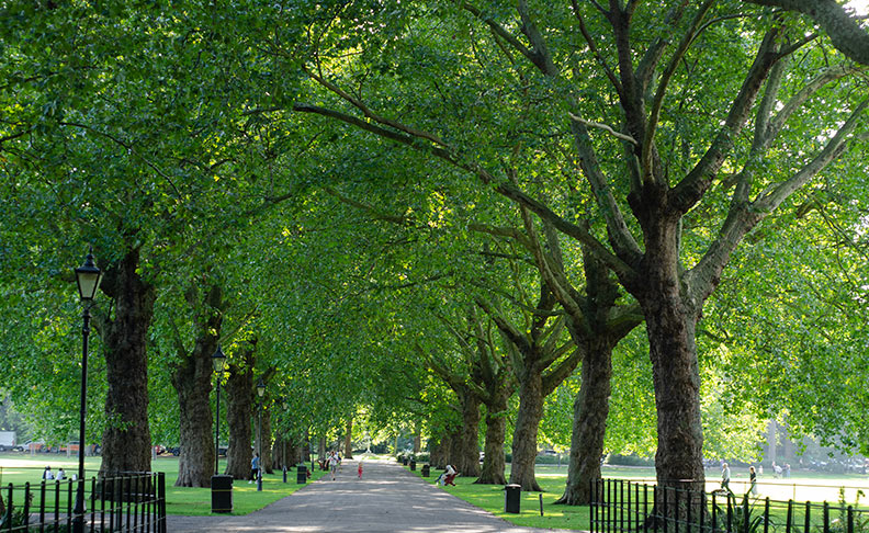 Holloway Park	