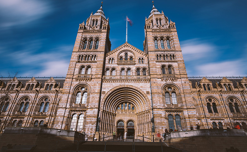 The Natural History Museum