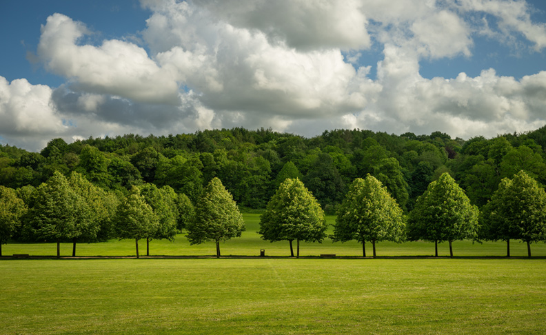 Priory Park