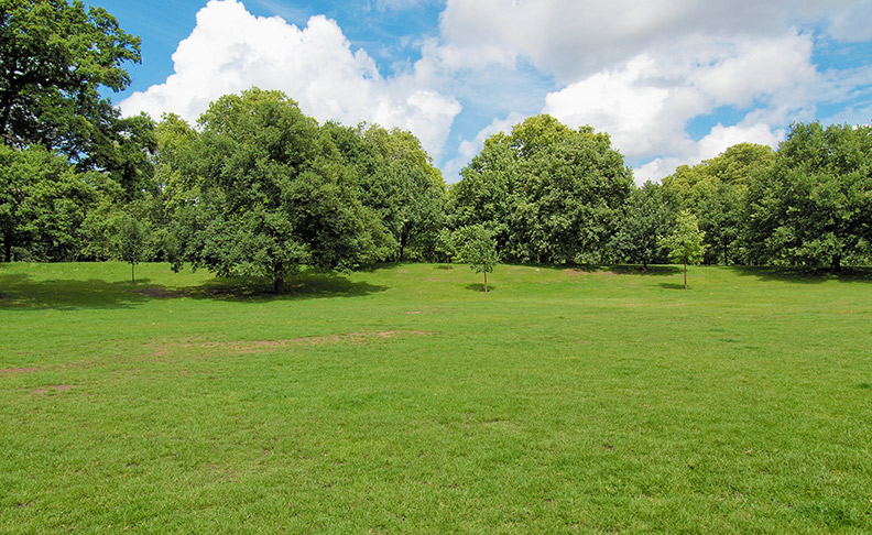 Winn’s Common