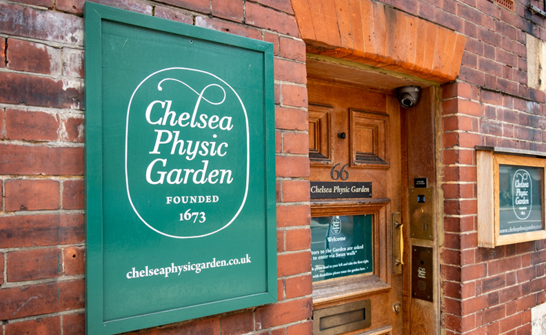 Chelsea Physic Garden