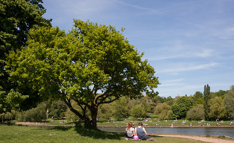 Hampstead Heath