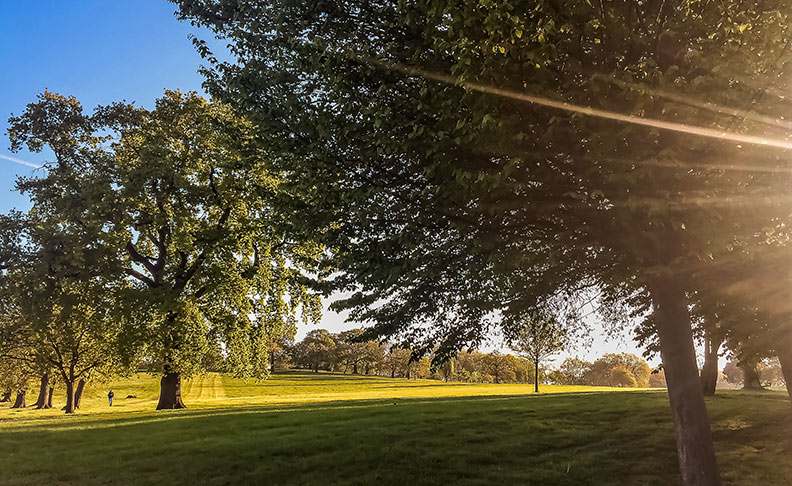 Gladstone Park