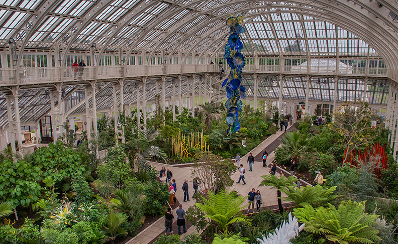The Palm House