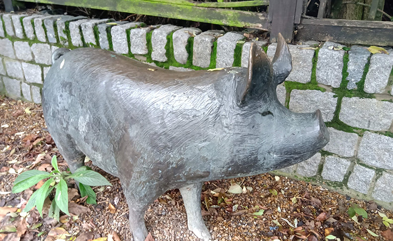 Surrey Docks Farm