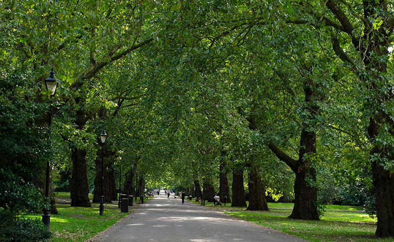 Wandsworth Park