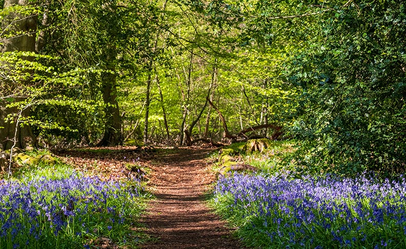 Stanmore Country Park
