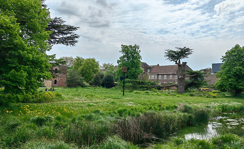 Walpole Park