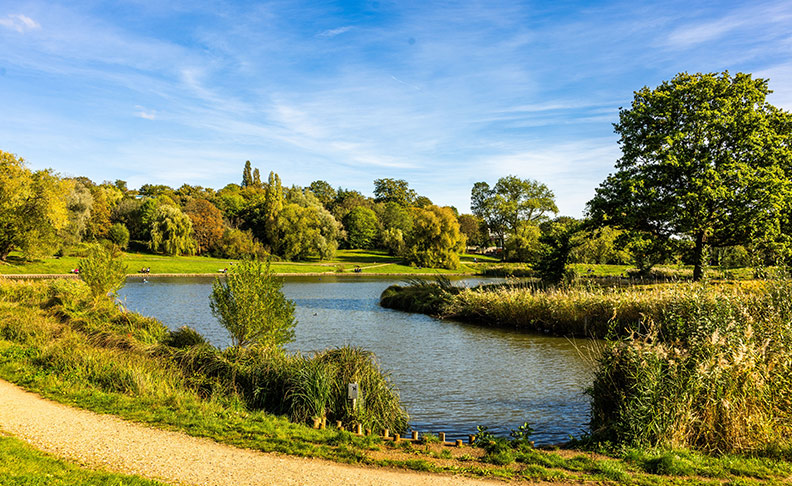 Hampstead Heath