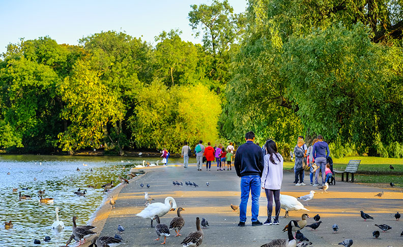 Regent's Park