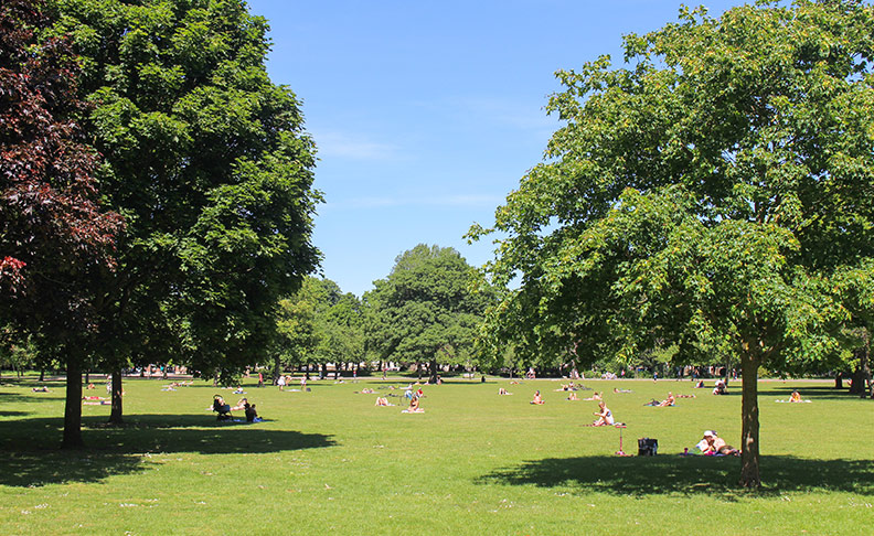 Baylis park