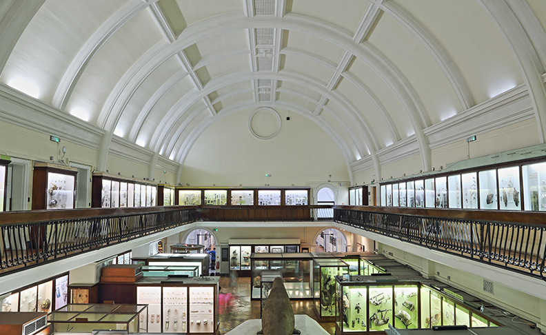 Horniman Museum and Gardens