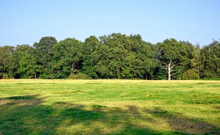 Minet Country Park