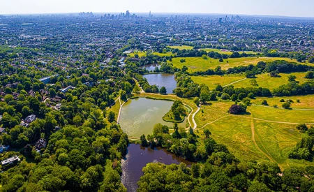 Hampstead Heath
