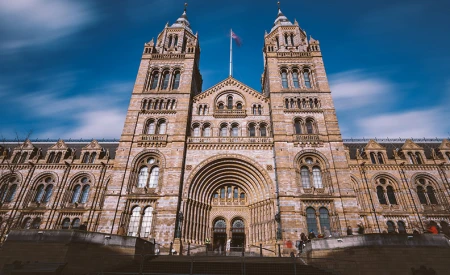 The Natural History Museum