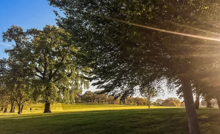 Gladstone Park