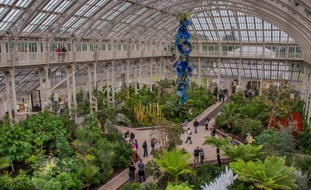 The Palm House
