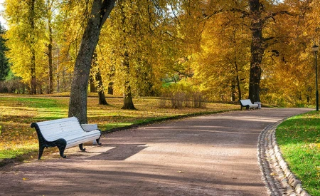 Parsloes Park	