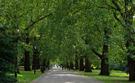 Wandsworth Park