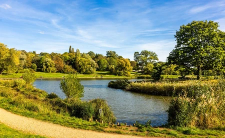 Hampstead Heath